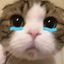 amiajoketoyou emote for Discord