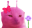 amyFlower emote for Discord