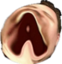 AMEGALUL emote for Discord