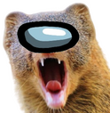 AMongoose static emote for Discord, Twitch and Slack