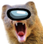 AMongoose emote for Discord