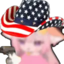 americann emote for Discord