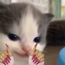 aimislayy static emote for Discord, Twitch and Slack