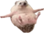 AirplaneMode emote for Discord