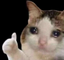 Aight emote for Discord