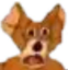 AJerry emote for Discord