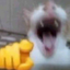 AJAJAJAJ emote for Discord