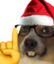 AKSZLI emote for Discord