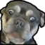 AkitoHelp emote for Discord