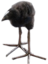akariteruPUKEKO emote for Discord