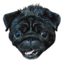 akiraVahui emote for Discord