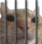 akarujail emote for Discord