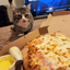 alrightPizza emote for Discord