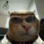 AlbuhrtWhisker emote for Discord
