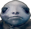 albiStare emote for Discord
