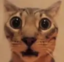 ALTAcentered emote for Discord