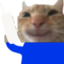 aloooCatsmile emote for Discord