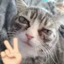AlrightQQ emote for Discord