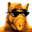 alfEZ emote for Discord