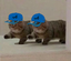 alpinecats emote for Discord