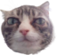 Alrightmoji emote for Discord