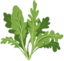 Arugula emote for Discord