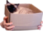 AriaBox emote for Discord