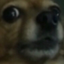 arf emote for Discord