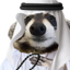 arabRaccoon emote for Discord