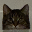 artyLurk emote for Discord