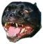 ArcherScream emote for Discord