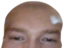 ArravBaldge emote for Discord