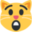 astonished_cat emote for Discord