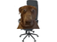 arcadeChairDAWG emote for Discord