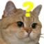 askCat emote for Discord