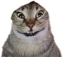 ashSmile static emote for Discord, Twitch and Slack