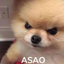 asao emote for Discord