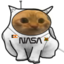astroSpoingus emote for Discord