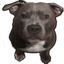 AskaniaKayn emote for Discord