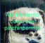 asimesientocomoesepinchinperrito emote for Discord
