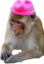 astromonkey emote for Discord