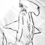 atracingofahammerheadshark emote for Discord