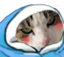 ambroCozy emote for Discord