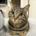 amigoated static emote for Discord, Twitch and Slack