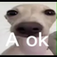 Aok emote for Discord