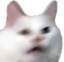 apolloHUH emote for Discord