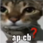apcb emote for Discord