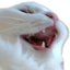 apoLuL emote for Discord