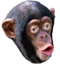 ApeU emote for Discord