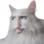 ApollO emote for Discord